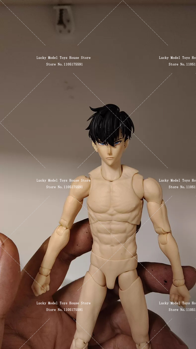 Figura Masculina Pintada 1/12  - Anime Merchandise Solo Leveling avaliação e preço